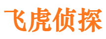 蓬安市侦探调查公司